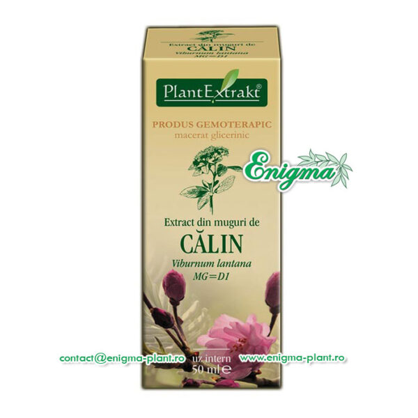Extract din muguri de calin – 50ml