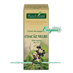 extract-muguri-coacaz-negru