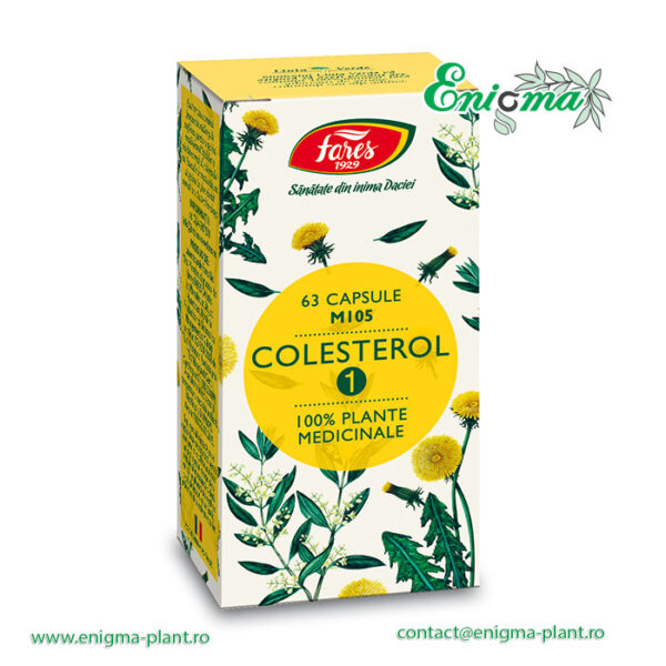 Colesterol 2 cu anghinare si frunze de măslin, M105A, capsule